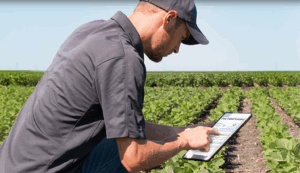 Food Safety Compliance Management Software: Streamlining the Process